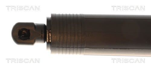 Vérin de hayon, de coffre (Vérin de hayon) Triscan A/S 8710 81209