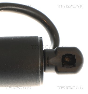 Vérin de hayon, de coffre (Vérin de hayon) Triscan A/S 8710 81209