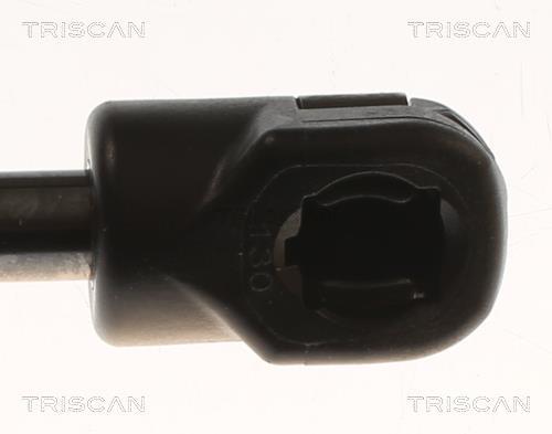 Amortecedor do porta-bagagens Triscan A/S ref. 8710 82004