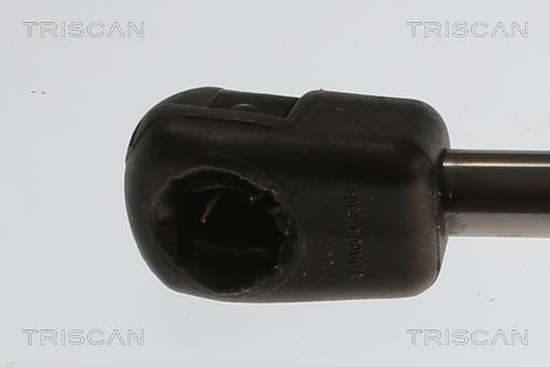 Amortecedor do porta-bagagens Triscan A/S ref. 8710 82009