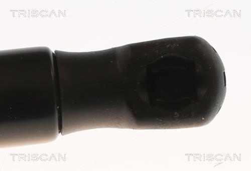 Amortecedor do porta-bagagens Triscan A/S ref. 8710 82009