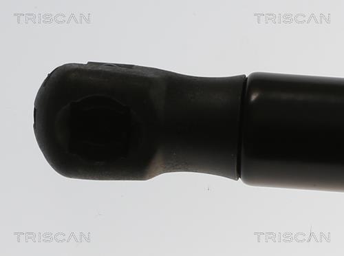 Amortecedor do capô do motor Triscan A/S 8710 82011