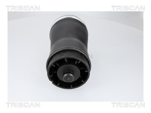 Ressort pneumatique, châssis Triscan A/S ref. 8720 11204