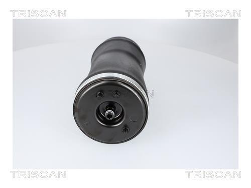 Ressort pneumatique, châssis Triscan A/S ref. 8720 11204