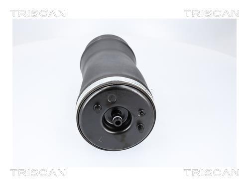 Ressort pneumatique, châssis Triscan A/S ref. 8720 11205