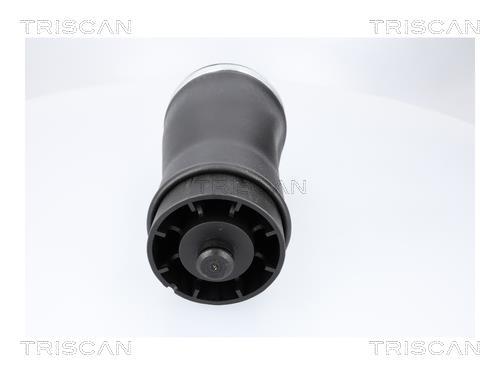Ressort pneumatique, châssis Triscan A/S ref. 8720 11205