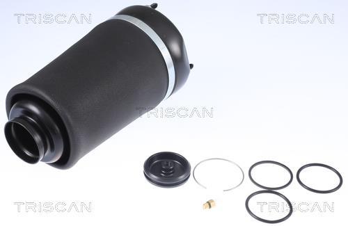 Ressort pneumatique, châssis Triscan A/S ref. 8720 23101