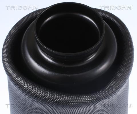 Ressort pneumatique, châssis Triscan A/S ref. 8720 23101