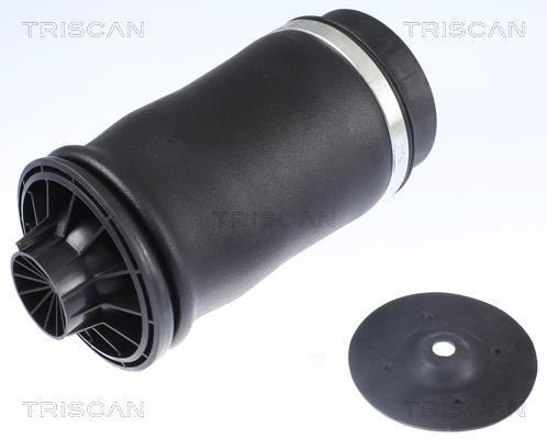 Mola de ar, chassis Triscan A/S ref. 8720 23204