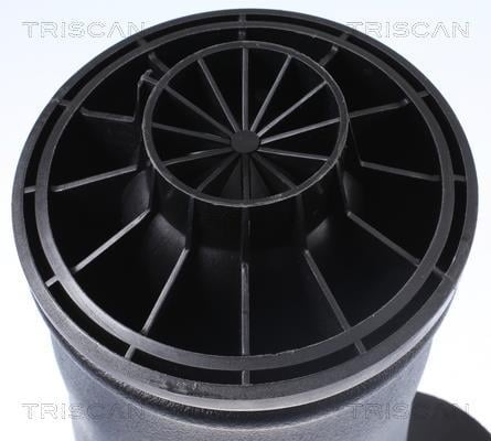Mola de ar, chassis Triscan A/S ref. 8720 23204