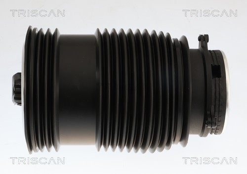 Mola de ar, chassis Triscan A/S ref. 8720 23208