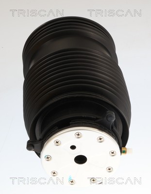 Mola de ar, chassis Triscan A/S ref. 8720 23208