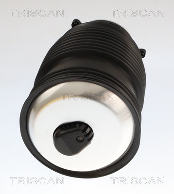 Mola de ar, chassis Triscan A/S ref. 8720 23208