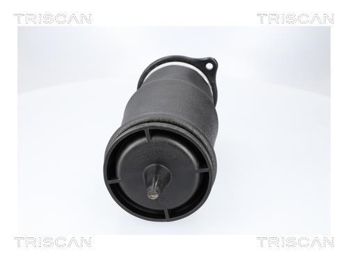 Ressort pneumatique, châssis Triscan A/S ref. 8720 23210