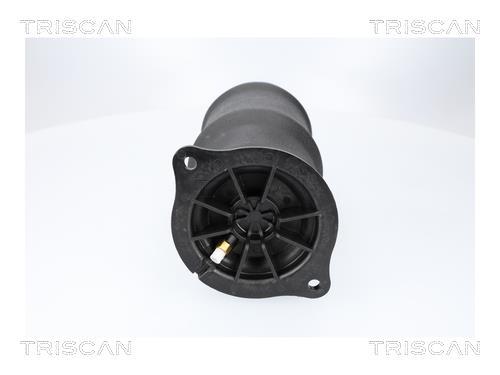 Ressort pneumatique, châssis Triscan A/S ref. 8720 23210