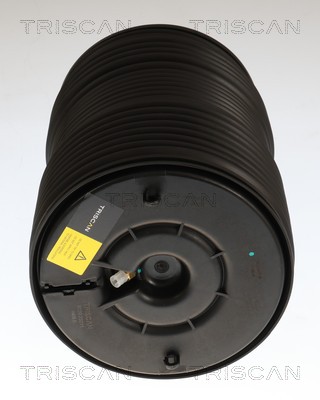 Ressort pneumatique, châssis Triscan A/S 8720 23211