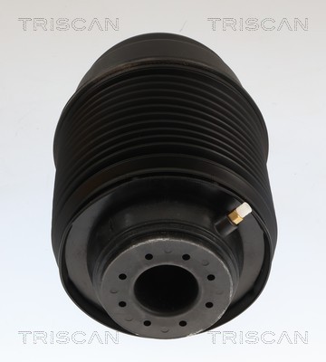 Ressort pneumatique, châssis Triscan A/S 8720 23212