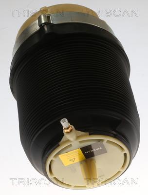 Ressort pneumatique, châssis Triscan A/S ref. 8720 29202