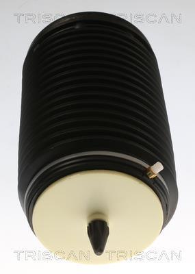 Cilindro Triscan A/S ref. 8720 29204