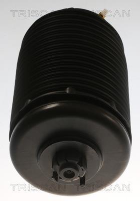 Cilindro Triscan A/S ref. 8720 29204
