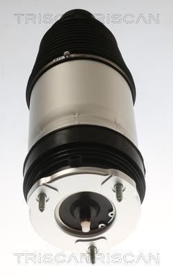 Ressort pneumatique, châssis Triscan A/S ref. 8720 81101