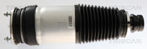 Mola de ar, chassis Triscan A/S ref. 8720 81102