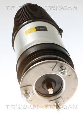 Mola de ar, chassis Triscan A/S ref. 8720 81102