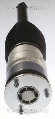 Mola de ar, chassis Triscan A/S ref. 8720 81201
