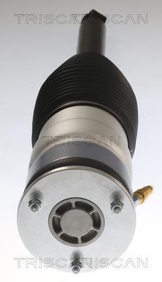 Ressort pneumatique, châssis Triscan A/S ref. 8720 81202