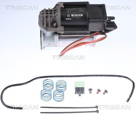 Compressor do ar de serviço Triscan A/S 8725 11101