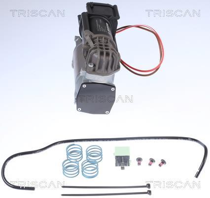 Compressor do ar de serviço Triscan A/S 8725 11101