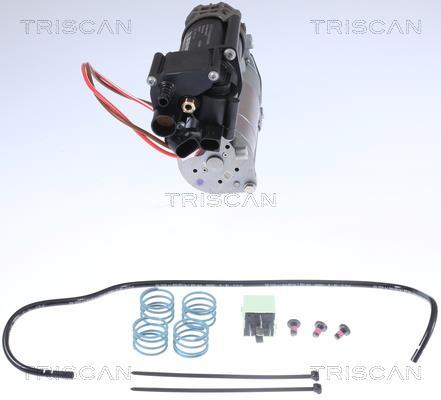 Compressor do ar de serviço Triscan A/S 8725 11101