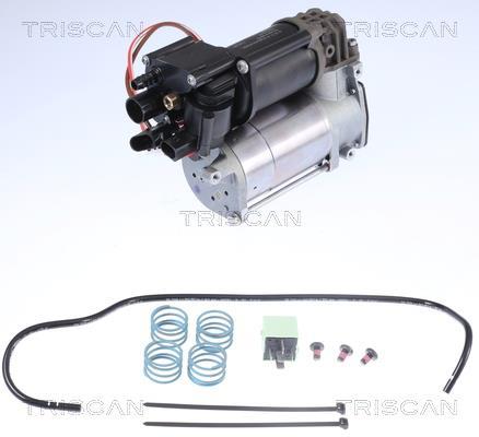 Compressor do ar de serviço Triscan A/S 8725 11101