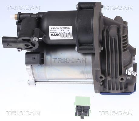 Compresseur, système d'air comprimé Triscan A/S ref. 8725 11102
