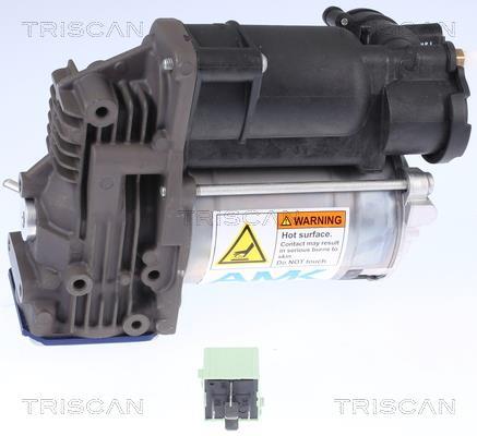 Compresseur, système d'air comprimé Triscan A/S ref. 8725 11102
