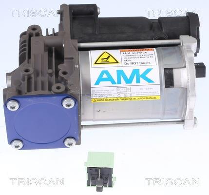 Compresseur, système d'air comprimé Triscan A/S ref. 8725 11102
