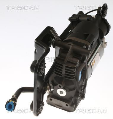 Compresseur, système d'air comprimé Triscan A/S ref. 8725 11104