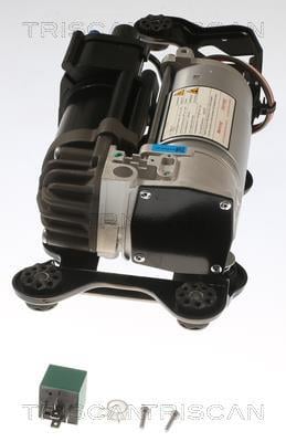 Compresseur, système d'air comprimé Triscan A/S ref. 8725 11105