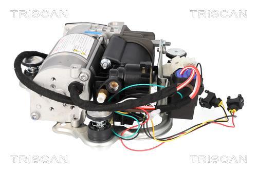 Compressor do ar de serviço Triscan A/S ref. 8725 11106