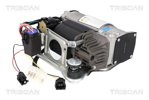 Compressor do ar de serviço Triscan A/S ref. 8725 11106