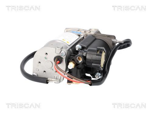 Compresseur, système d'air comprimé Triscan A/S ref. 8725 11107