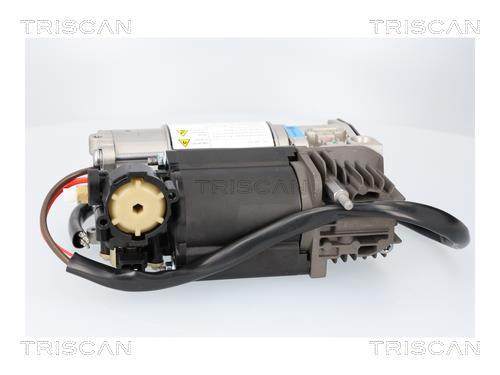 Compresseur, système d'air comprimé Triscan A/S ref. 8725 11107