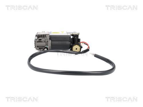 Compresseur, système d'air comprimé Triscan A/S ref. 8725 11107