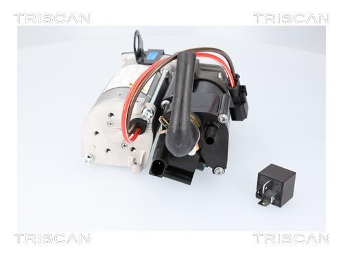 Compresseur, système d'air comprimé Triscan A/S ref. 8725 11108