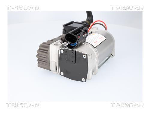 Compresseur, système d'air comprimé Triscan A/S ref. 8725 11108