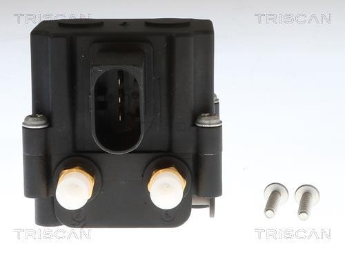 Compresseur, système d'air comprimé Triscan A/S ref. 8725 11202
