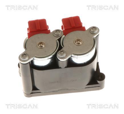 Compresseur, système d'air comprimé Triscan A/S ref. 8725 11203