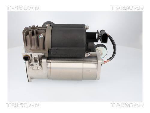 Compresseur, système d'air comprimé Triscan A/S ref. 8725 15001