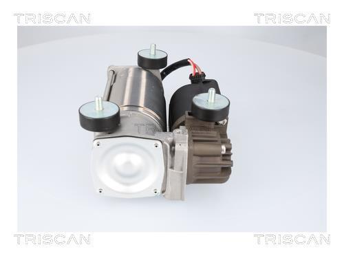 Compresseur, système d'air comprimé Triscan A/S ref. 8725 15001