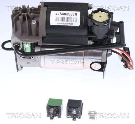 Compresseur, système d'air comprimé Triscan A/S ref. 8725 23101